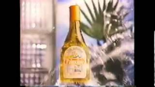 Palmolive Commercial 1980s [upl. by Ahsir]