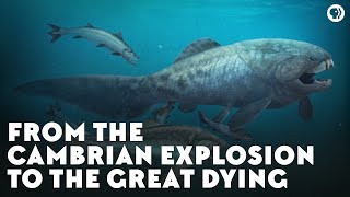 From the Cambrian Explosion to the Great Dying [upl. by Kelci7]