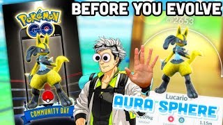 Lucario Raid Day or Move Update in Pokémon GO  Before You Evolve Riolu speculation [upl. by Ingar]