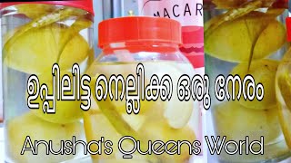 All time favourite Nellikka Uppilittathu AnushasQueensWorldRecipe 85SpecialHealthyTasty [upl. by Nahshu]