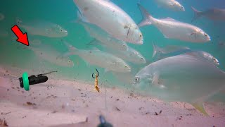 Attached an Underwater Camera to my Fishing Line How Fish React [upl. by Ilene]