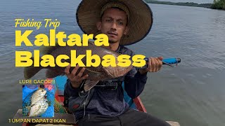 TRIP MANCING KE MUARA ANCAM DI KALIMANTAN UTARA [upl. by Paton]