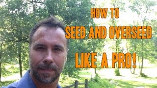 How to Plant Grass Seed and Overseed like a PRO [upl. by Leirbma]