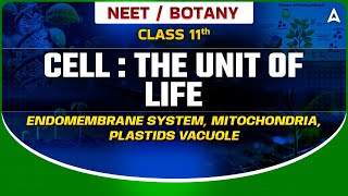 CELL THE UNIT OF LIFE CLASS 11  ENDOMEMBRANE SYSTEM  MITOCHONDRIA  PLASTIDS VACUOLE  SANKALP [upl. by Johannes]