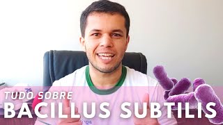 Tudo sobre Bacillus Subtilis na Agricultura [upl. by Tocs]