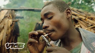 The Congolese Tribes Selling Weed to Survive  WEEDIQUETTE [upl. by Maurer]