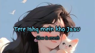 tere ishq mein kho jaau  slow amp reverb   created by  ARMusicCreation [upl. by Clarie]