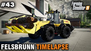 FS19 Timelapse Felsbrunn 43 Logging Fertilising amp Harvesting [upl. by Arrad]