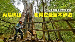 登山穿雨鞋真的比登山鞋好嗎？去走一趟內鳥嘴山北得拉曼巨木步道就發現這嚴重問題要即刻解決 [upl. by Annahc]