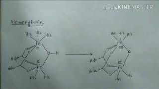 Bioinorganic chemistry part 3  hemeerythrin hemocyanin blue copper protein [upl. by Hekker]