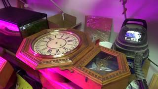 Twin Gilbert Octagon Drop School House Clocks Clean and Repair [upl. by Llehsam613]