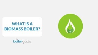 What is a Biomass Boiler [upl. by Bobina563]