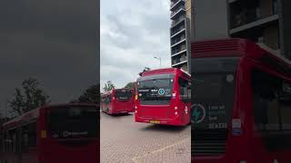 Brand New BYD D8UR ADL Enviro200EV  Route 396  GAL  SEe335 LF24ZDC [upl. by Yenots]