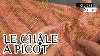 Tricot  Châle à picot [upl. by Aihsa]