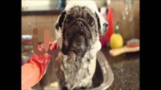 ITV Pugwash ident with Ant and Dec [upl. by Gracye]