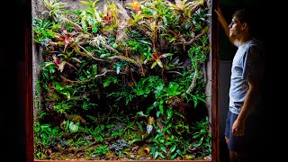 Giant DIY 600 Gallon Jungle Vivarium [upl. by Lolanthe188]