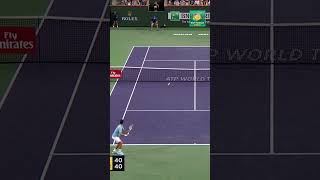 Novak Djokovic EPIC point vs Juan Martin del Potro [upl. by Eirased264]