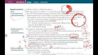 Rapid Progressive Glomerulonephritis Good Pasture Syndrome  First Aid USMLE Step 1 [upl. by Aisorbma]