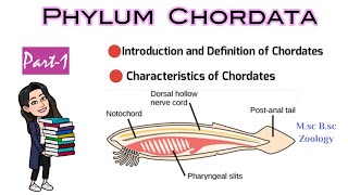 Part1 Introduction and Definition of ChordatesCharacteristics of ChordatesMsc Bsc Zoology NEET [upl. by Salangi]