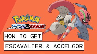 Pokemon Sword amp Shield How To Get Escavalier amp Accelgor How To Evolve Karrablast amp Shelmet [upl. by Neuberger]