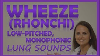 Wheezes Lung Sounds Monophonic Rhonchi Breath Sounds Abnormal Sonorous Wheeze [upl. by Vachill]