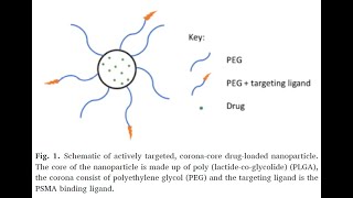 PEGPLGA and PLGANHS from PolySciTech used in development of cancer targeting nanoparticles [upl. by Jagir]