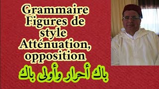 Figures de Style Atténuation Et Opposition  الجزء 2 و 3 1ères bac et bac libre [upl. by Naed336]