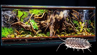 Isopod Tree Root Forest Vivarium with Easy Clay Background [upl. by Aisiram261]