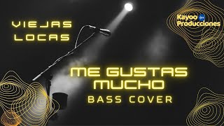 Me gustas mucho  Viejas Locas  Bass Cover [upl. by Garwood]