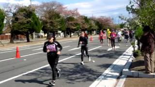 20130407 四日市シティロードレース大会 [upl. by Shing]