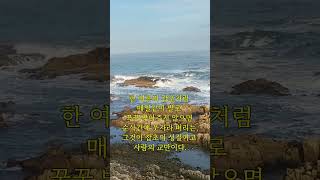 명문장 3개는 알자 memento mori carpe diem Amor fati mementomori carpediem Amorfati shorts [upl. by Dnomal59]