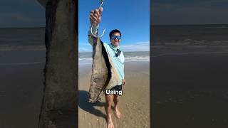 Using MASSIVE Bait At The Beach And This HAPPENEDPart 1 [upl. by Dessma91]