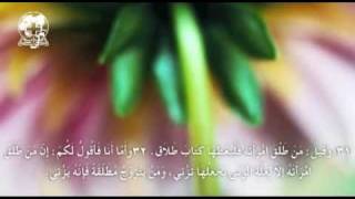 متى الأصحاح 5  الموعظة على الجبل [upl. by Josepha]