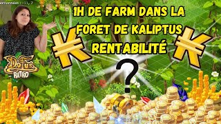 Rentabilité d1h de farm dans la foret de kaliptus dofus rétro [upl. by Gwyn]