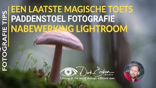 Paddenstoel fotografie  een laatste magische toets [upl. by Talyah]