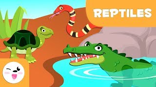 Reptiles for kids  Vertebrate animals  Natural Science For Kids [upl. by Beka]