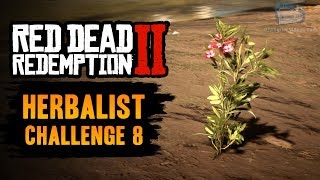 Red Dead Redemption 2 Herbalist Challenge 8 Guide  Use Oleander to craft 6 poison weapons [upl. by Ellord]