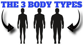 The 3 Body Types Explained QUICK and EASY [upl. by Wainwright581]