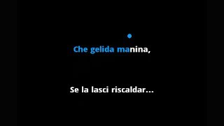 Puccini Che Gelida Manina La Boheme  Karaoke with Lyrics for Tenor  Instrumental [upl. by Kcir]