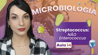 STREPTOCOCCUS Não Enterococcus SbovisS gallolyticus  Videoaula  Microbiologia  Flavonoide 14 [upl. by Sherye]