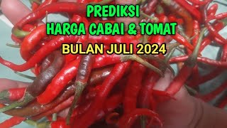 Prediksi harga cabai dan tomat bulan Juli 2024 [upl. by Magnus]