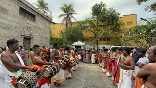 Nadaswaram  Pittuku maN sumantha perumaanaar  Sri Ponnambalavaneswaram Chariot Festival  Apr 2023 [upl. by Rede]