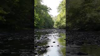 Flying my Drone at Jacob’s Creek in Southwestern PA [upl. by Ahsikyt172]