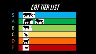 The Cat Tier List [upl. by Zusman]