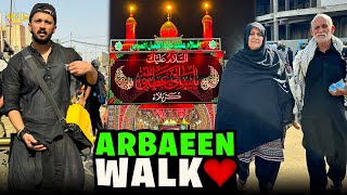 Arbaeen Walk Najaf to Karbala😭Best Vlog of my Life🙏🏻 [upl. by Amadeus426]