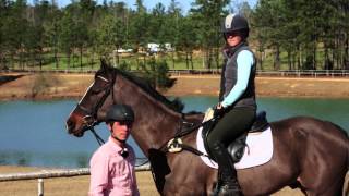 beginner horseback riding lessons [upl. by Cj134]