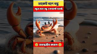 তাকেই বলে বন্ধু 🥰🦀 youtubeshorts trending youtube shorts [upl. by Chrissa]