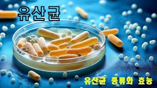 매일 챙겨 먹는 유산균 알고 먹자 [upl. by Zicarelli456]