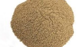 HOMEMADE RAW PAPAYA POWDER  BEST MEAT TENDERIZER [upl. by Afital]