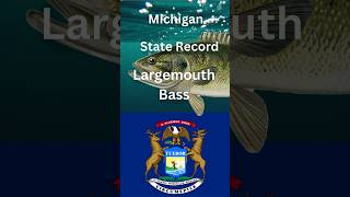 How big is the Michigan State Record Largemouth Bass [upl. by Nwahsud]